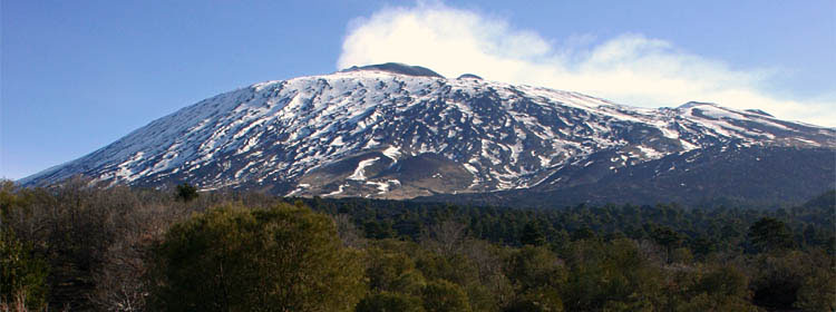 I frutteti si trovano nel Parco dell'Etna, immersi un'oasi di natura