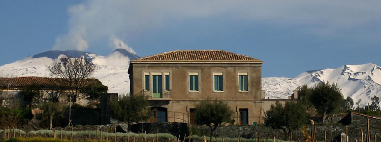 Vigna Mascalisi, che ospita i locali dell'agriturismo. Sullo sfondo l'Etna.